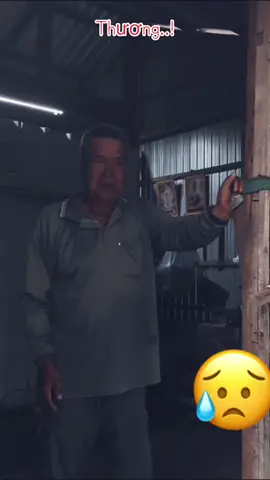 10 năm! Không ngắn cũng chẳng dài🕊️2 con người từ 2 vùng quê xa lạ, 2 số phận tình cờ gặp nhau. Ông cưu mang, chăm sóc bà bằng cả tình thương và lòng nhân hậu của một người đàn ông trải qua bao sóng gió cuộc đời. Tưởng chừng cuộc sống tuy bữa no bữa đói mà yên bình cứ thế trôi qua đến cuối đời ai ngờ những người con của bà đến và một hai đòi đưa bà về nơi mà bà đã từng đau khổ dứt áo ra đi vì blgd! 2 con gà mà ông đã đi vay tiền để mua về đãi con của bà, cũng như lần cuối ông muốn ngồi lại với bà.. thế mà gà chưa kịp làm, mâm chưa kịp dọn thì con bà bắt bà phải về ngay lúc đó. Giây phút nhìn ông rối bời, dặn dò bà những lời sau cuối rồi rơi nước mắt vì sắp phải xa người chung sống với mình cả chục năm trời dù lòng không muốn..thật không kìm nổi cảm xúc. Gà ông mang đi trả lại cho người ta, câu chuyện của ông khiến bao người rơi nước mắt! Những ngày tháng sau này chắc ông buồn lắm! Cô đơn lắm! Chỉ một từ Thương! Thương cho số phận ông! Mong ông luôn mạnh khoẻ, yên lòng vui sống những tháng ngày còn lại…☘️☘️☘️#phongbui #fypシ゚ 