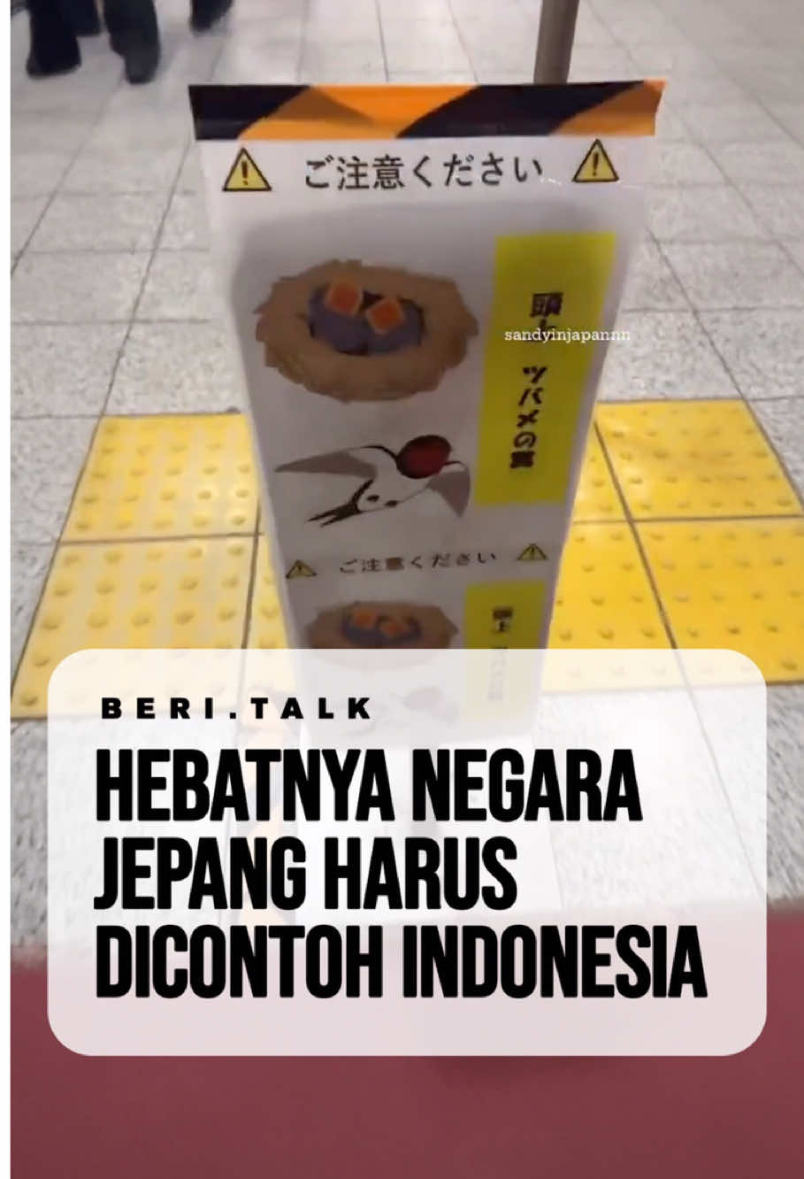 Di Jepang: burung nyasar dikasih papan info biar aman. Di sini: burung nyasar malah jadi bahan konten TikTok.  #BelajarDariJepang #MirisTapiFakta #ContohBaik #IndonesiaLebihBaik #Beri.talk 