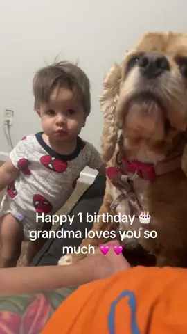 It’s your 1 birthday