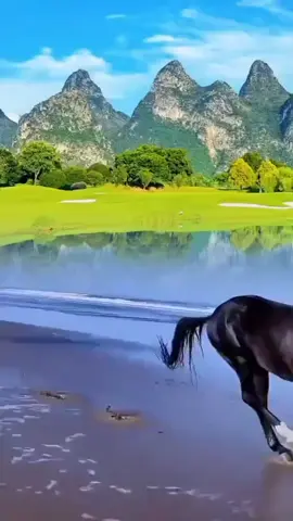 لا أحد يعرف حجم المعركة التي تخوضها في صمت