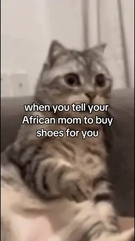 Africans can relate #relatable #memestiktok  #africantiktok #trendingvideo  #creatorsearchinsight 