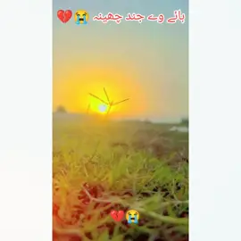 💔😭💔😭💔😭💔😭💔😭 please tiktok team don't under review my video 🙏😭
