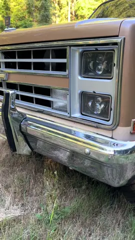 #sqarebody hog ass cam 