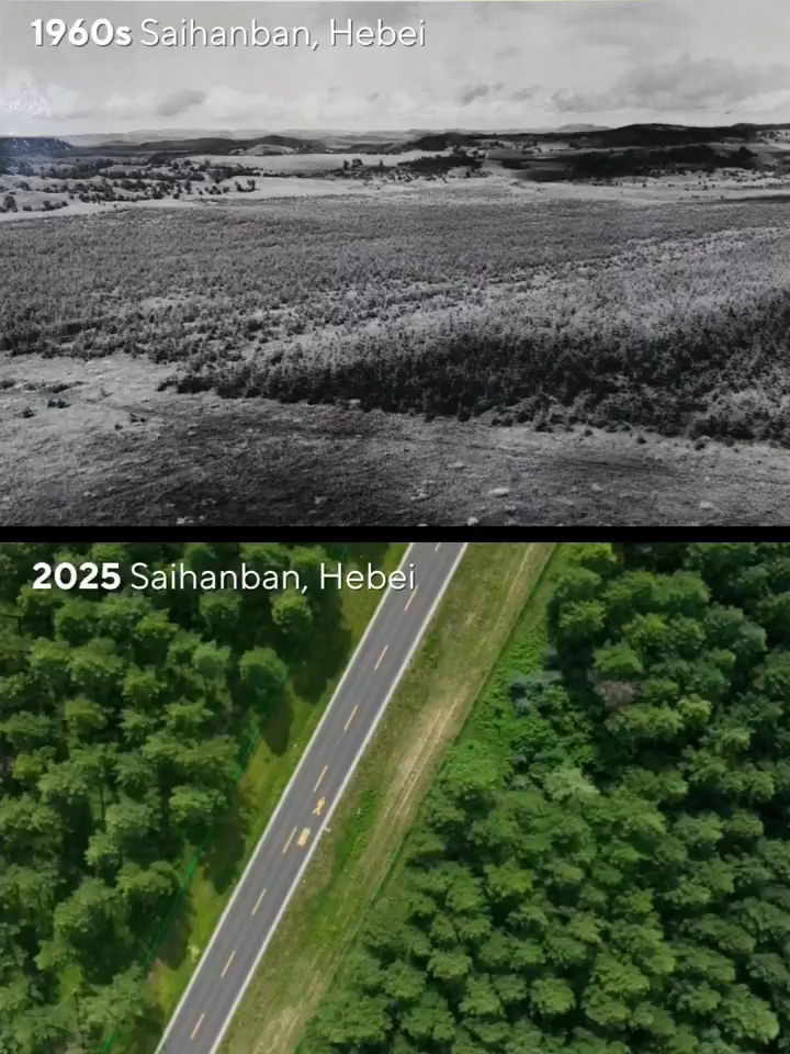 河北省の賽罕壩：不毛の大地から緑豊かな森へ #GreenChina
