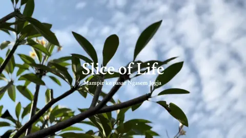 Mini vlog bagian 15 Mampir ke pasar Ngasem Jogjakarta. Perjalanan klasik, tentang suasana Jogja hari itu. #minivlog #dailyvlog #digitaldiary #DailyRoutine #Vlog 