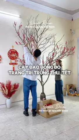 Đào đông nhà em luôn sẵn hàng nhé các bác. Để decor thêm sắc đỏ nổi bật thì đào đông luôn là sự lựa chọn hợp lý nha #trungthu2025 #guemdecor #trangtritrungthu #vuitettrungthu #trangtriquancafe 