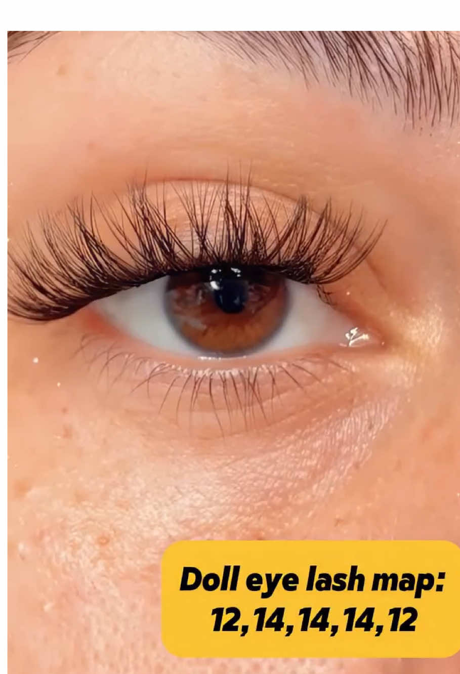 Doll eye 👁 lash map:12-14-14-14-12🐝🐝 #lashes #eyelashextensions #beauty #lashextensions #lashmapping #foryoupage #fyp #lashremoval #lash 
