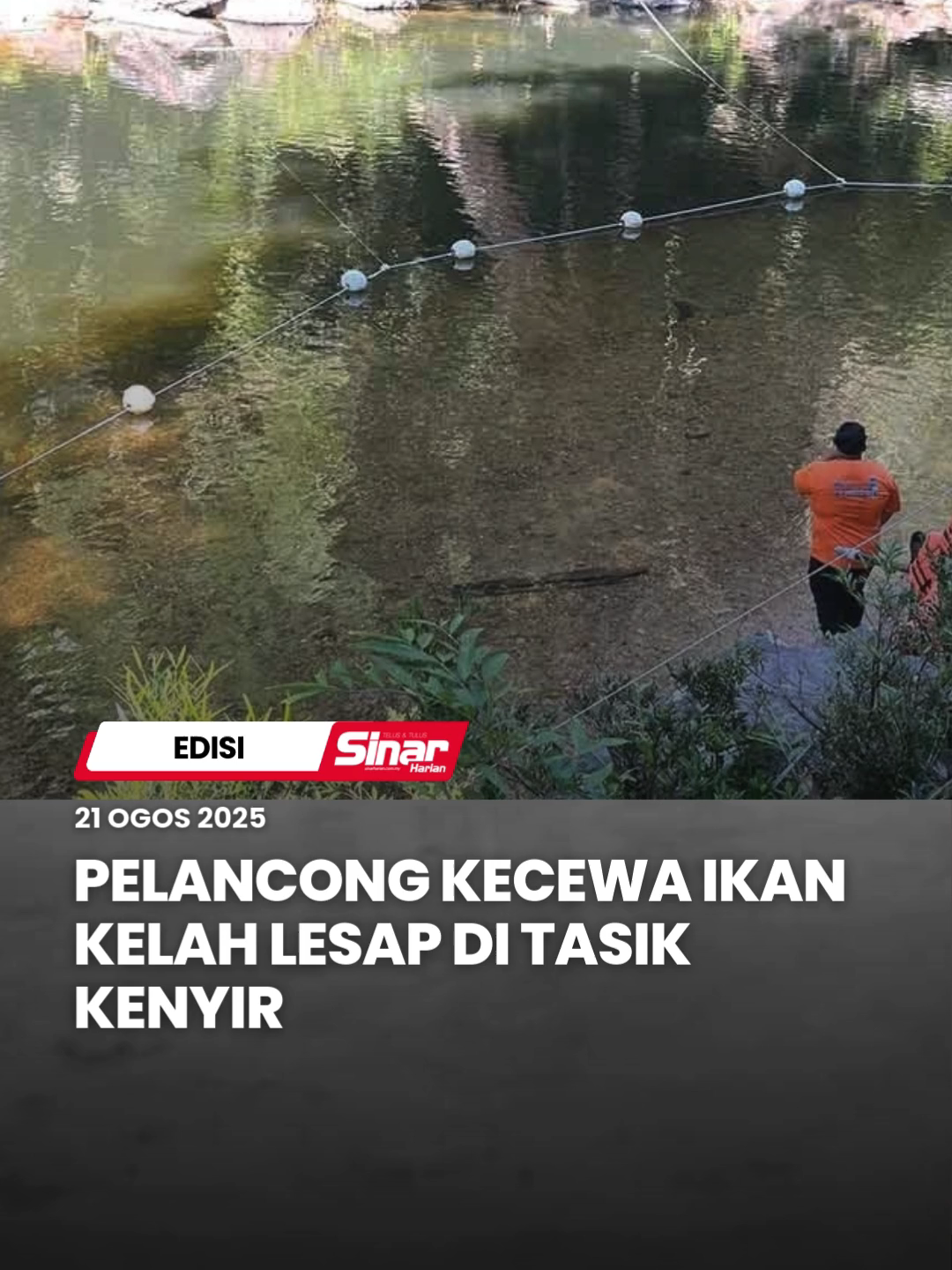 #ICYMI Kehilangan ikan kelah di Santuari Kelah, Tasik Kenyir sejak Selasa lalu menimbulkan tanda tanya apabila spesies tarikan utama itu tiba-tiba lesap, sekali gus mencetuskan kekecewaan dalam kalangan pelancong yang berkunjung ke kawasan tersebut. Difahamkan, pada Isnin lalu ikan kelah masih kelihatan di kawasan itu, namun pada keesokan harinya pengunjung yang hadir tidak menemui seekor pun spesies berkenaan termasuk ikan spesies lain. #sinarharian #beritaterkini #ikankelah #tasikkenyir