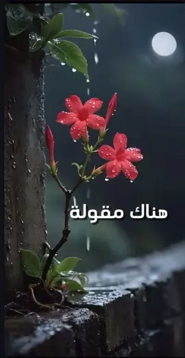 اكرمني بحسن ظنك