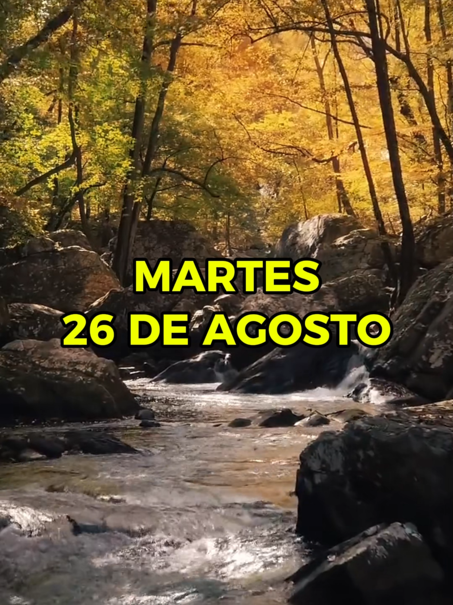 JW TEXTO DIARIO DE HOY: MARTES 26 DE AGOSTO DE 2025 #JW #JWORG #textodehoy #jwtextodiario #textodiariodehoy #jwtextodiarioparahoy #estudiodelaatalaya #textodiariodehoy #textobiblicodeldia #jwfamily #jwlife #testigosdejehova #textodiariotestigosdejehova