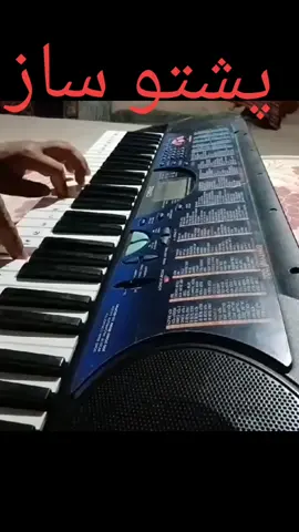 #جنگل 