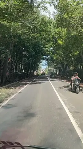 jln subang- purwakarta