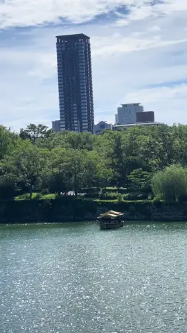 #@sakura_1978 #beautiful #xuhuong2025tiktok❤️🌈✔️🤟🤟🤟story 