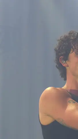His smile🥺 He looks so happy❤️ #shawnmendes #ontheroadagainamsterdam #ontheroadagain  #shawnmendesamsterdam 