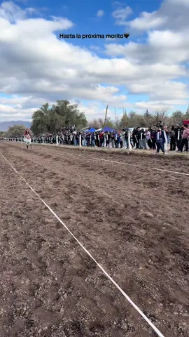 te extrañaremos campeón🖤#carrerasdecaballos #turfargentino 