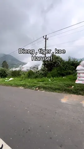 #tigerbapack #tigermodifikasi #tigerindonesia #herex #fyppppppppppppppppppppppp 