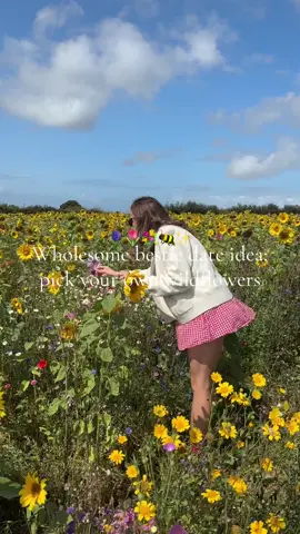This is your sign to go to a PYO wildflower field before summer ends 💐🐝 #wildflowerfield #bestiedate #fundaysout #northdevon #creatorsearchinsights 