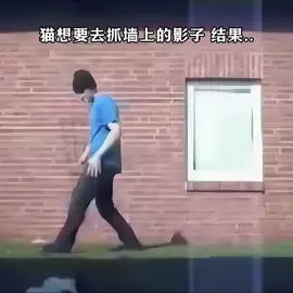 @cái mew gì vậy? 