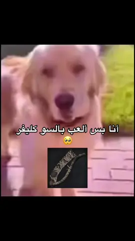 ياخي الي يلعبون بسلاح واحد 😅  #بلودبورن  #سولز  #الشعب_الصيني_ماله_حل😂😂  #اكسبلورexplore  #bloodborne 
