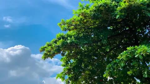 তুমি প্রয়োজনের চাইতে অনেক বেশি