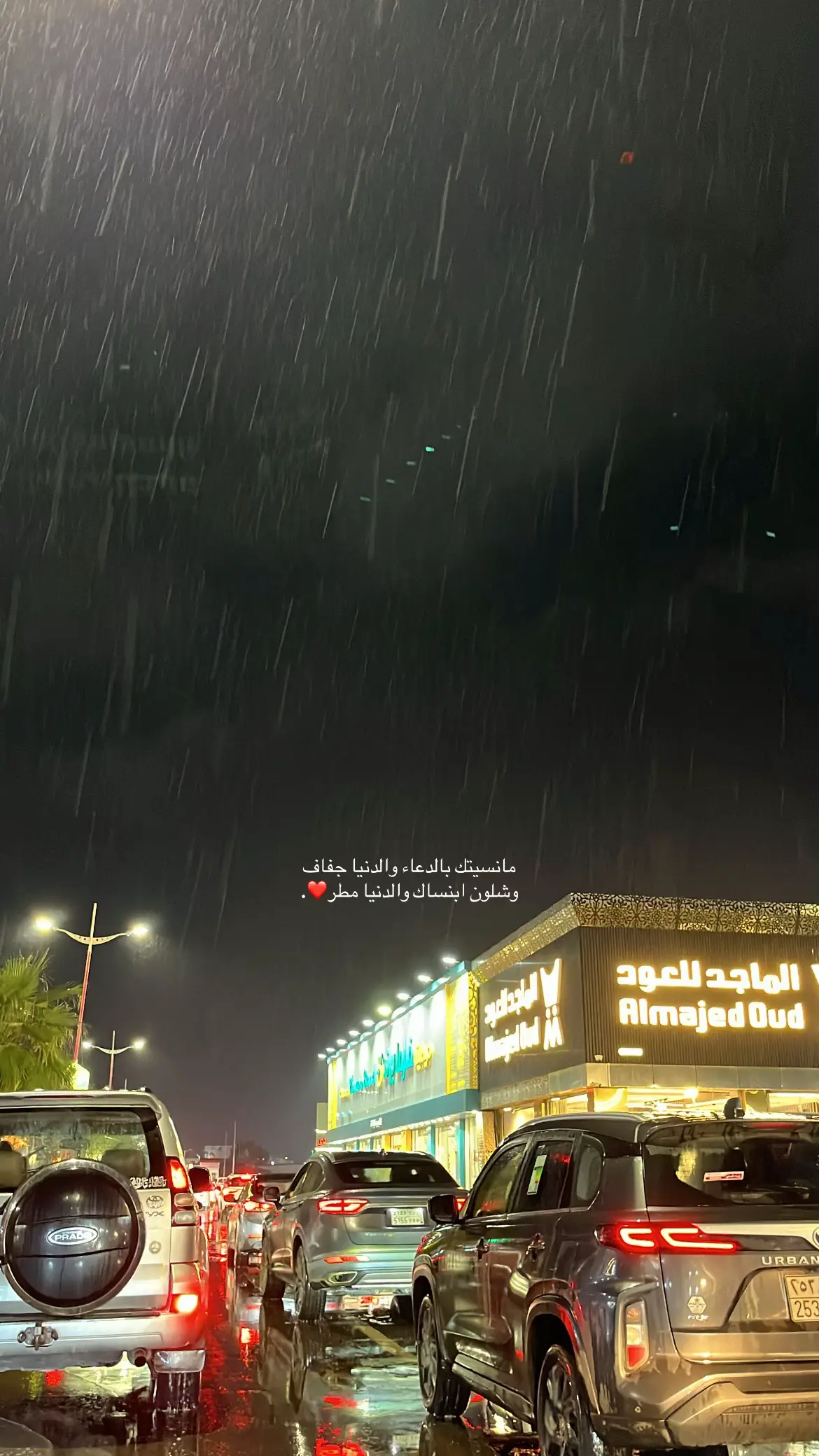 اهلاً اغسطس🤍#جازان #ابوعريش 