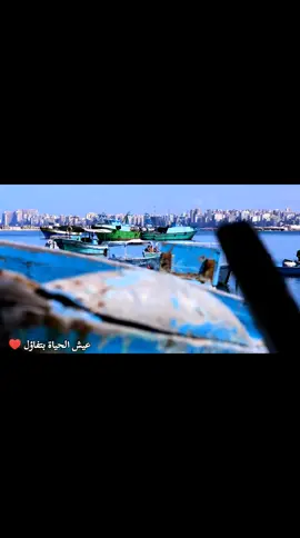 من بحري وبنحبوه هشام عباس و علياء صالح  من بحري و بنحبوه من بحرى وبنحبوه  علياء صالح من بحري وبنحبوه  هدي سلطان من بحري وبنحبوه  من بحري هدي سلطان  من بحرى وبنحبوه هدي سلطان  علياء صالح  امريكانا  #التسعينات #اسكندريه #الثمانينات #سعادتنا_في_ذكريتنا #عيش_الحياة_بتفاؤل  أهل اسكندرية  أهل بحري  بحري اسكندرية  في حب اسكندرية  اسكندريه  اسكندرية