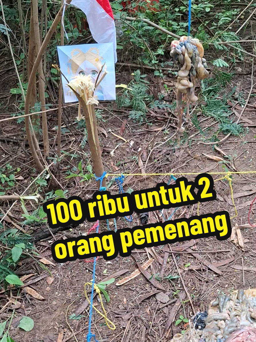 hadiah untuk para penonton setia 