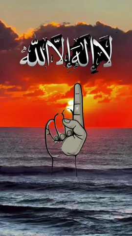 لا اله الا الله وحده لا شريك له ❤️ #لا_اله_الا_الله #تسبيح #اذكار #اذكروا_الله #islamic_video 