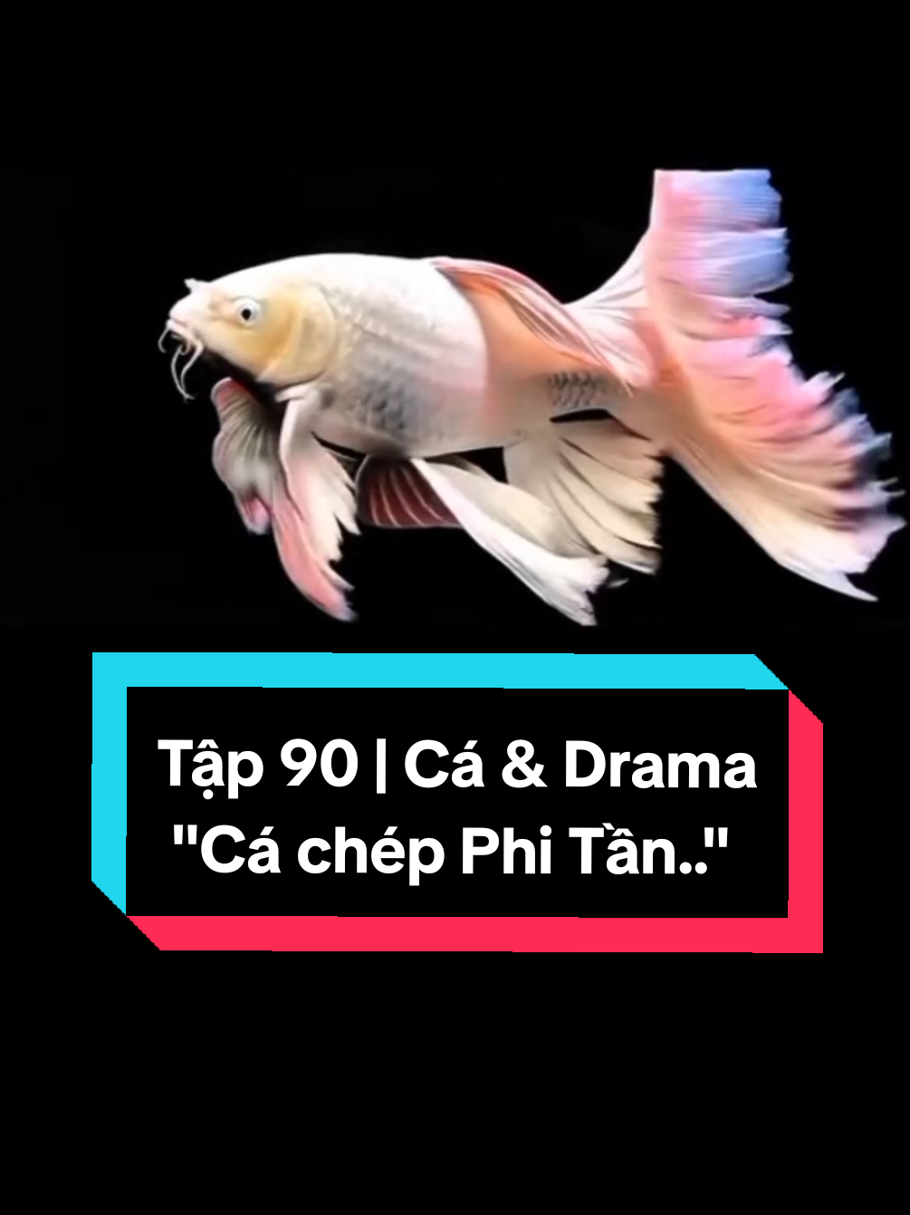 Tập 90 | Cá & Drama 