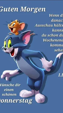 einen schönen guten Morgen 🌦️🌦️🌦️🌦️🌦️🌦️🌦️🌦️🌦️