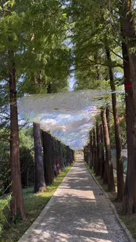 Rèm mưa hologram #xuhuong #remmuahologram #canhdep #beauty #viral 