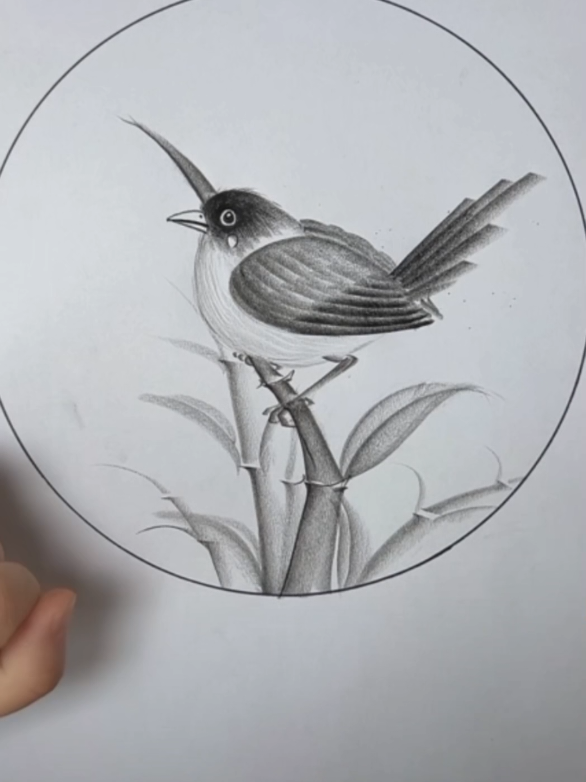 How To Draw a bird 🐦  . . . #drawingforbeginners #drawingtutorial #drawingchallenge #artistsoftiktok #howtodraw 