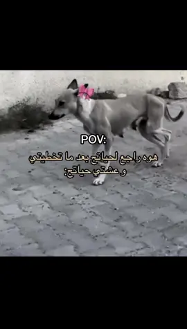 #😂😂 #💅🏻✨اكسبلورexplore #pppppppppppppppp 