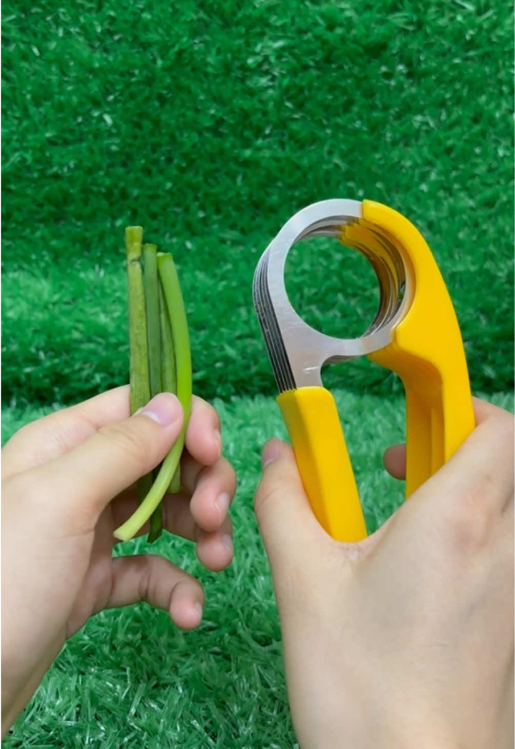 Can it cut scallions?#satisfying 