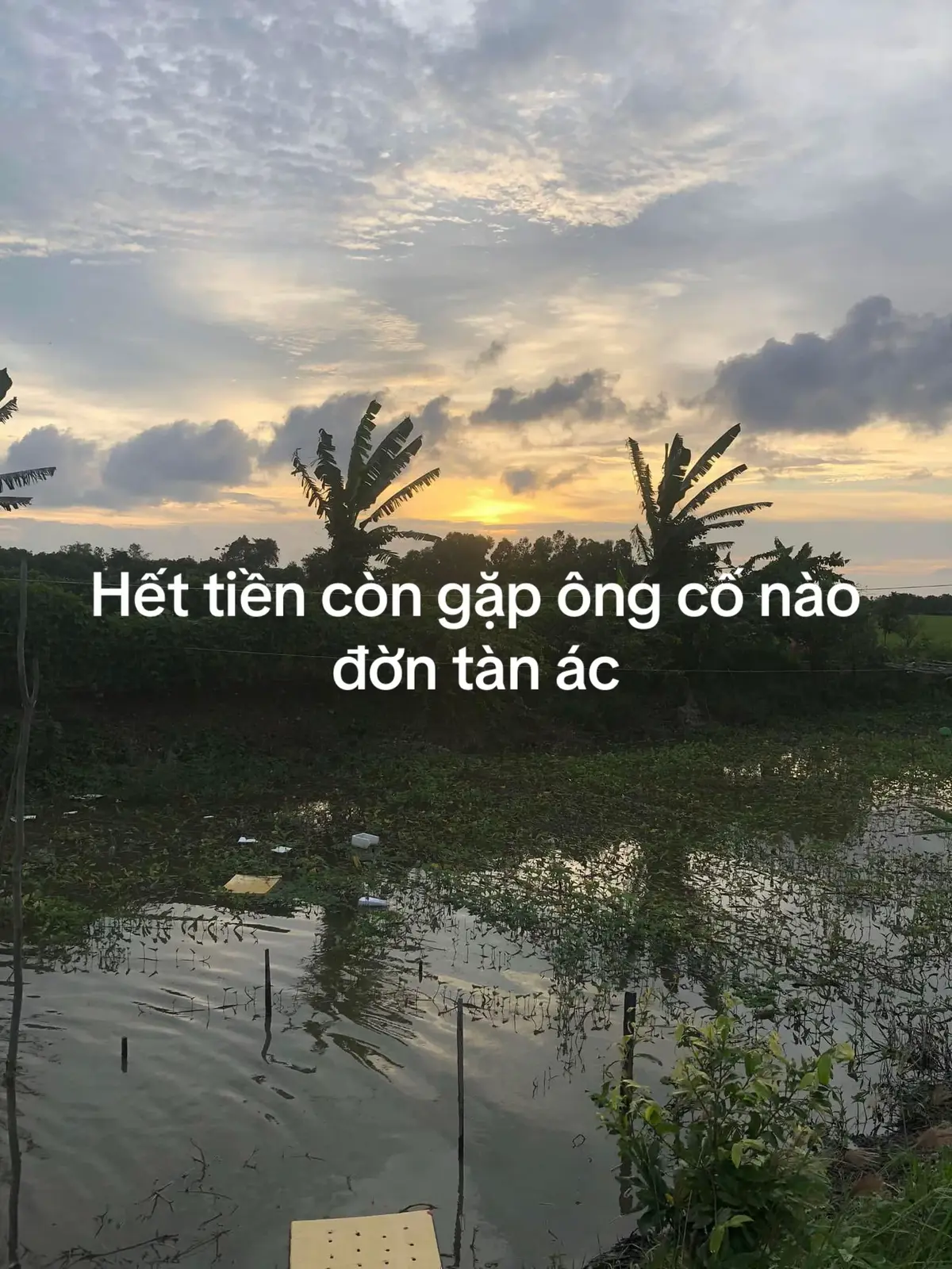 #doncataitu #xuhuongtiktok #capcut tiếng đờn nghe tàn ác