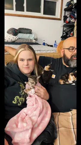 @pinch3_p3lon #tiktoklive #livehighlights #catrescue #cats #cat