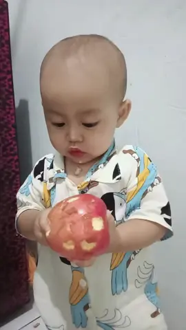 Aku sedang makan apel. gigiku kuat untuk mengigit apel utuh. #bayilucu #bayigemes #bayitiktok #bayimakan 