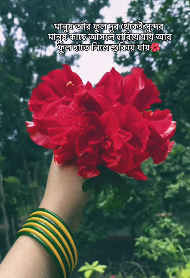 মানুষ আর ফুল দূর থেকেই সুন্দর  মানুষ কাছে আসলে হারিয়ে যায় আর ফুল হাতে নিলে শুকিয়ে যায়🌺#foryoupage #unfreezemyacount #fypシ゚viral🖤 #200kviews #100millionviews 