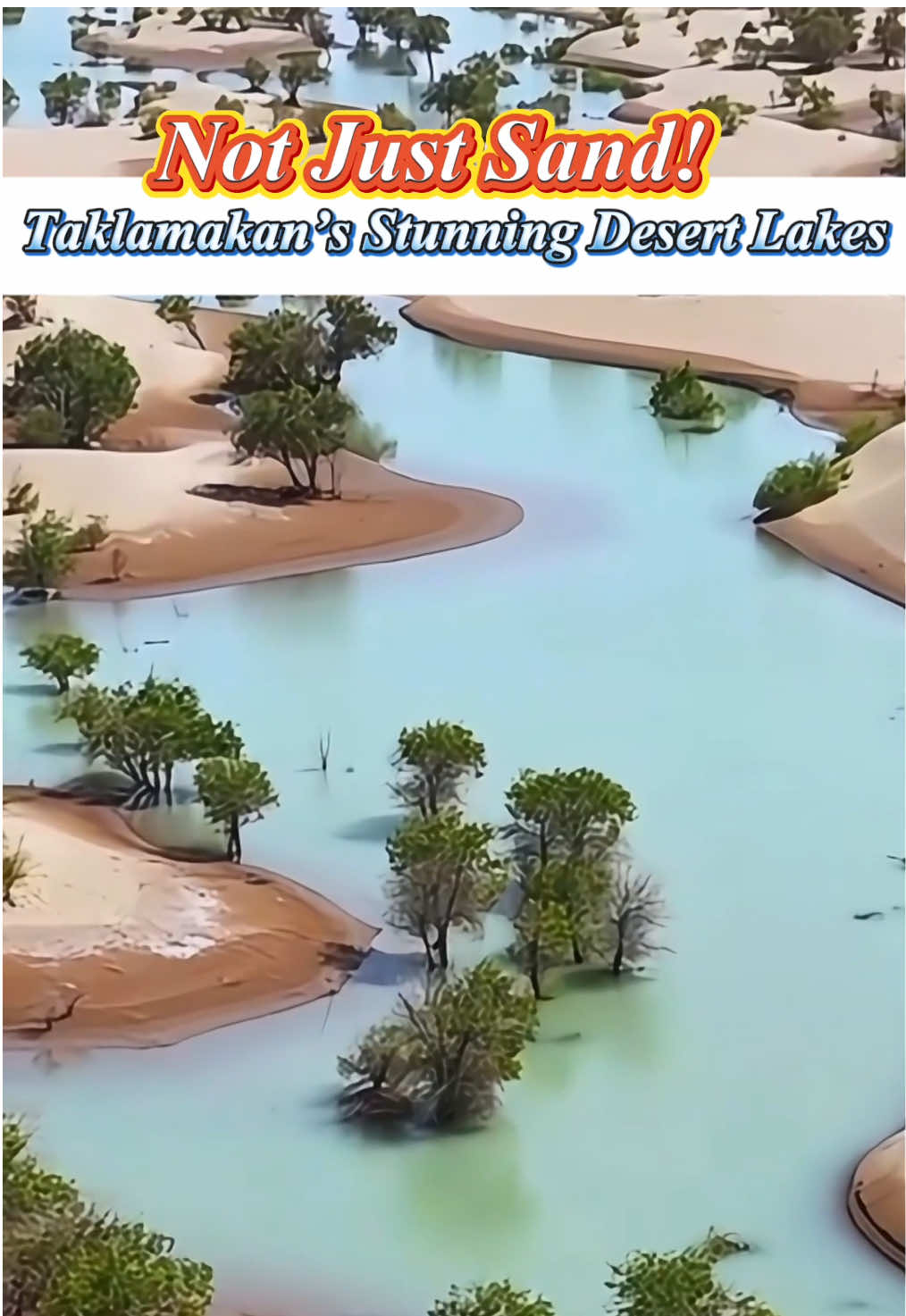 Not just sand! #Taklamakan’s stunning desert lakes   #ChinaNature #EarthWonders #DesertMagic