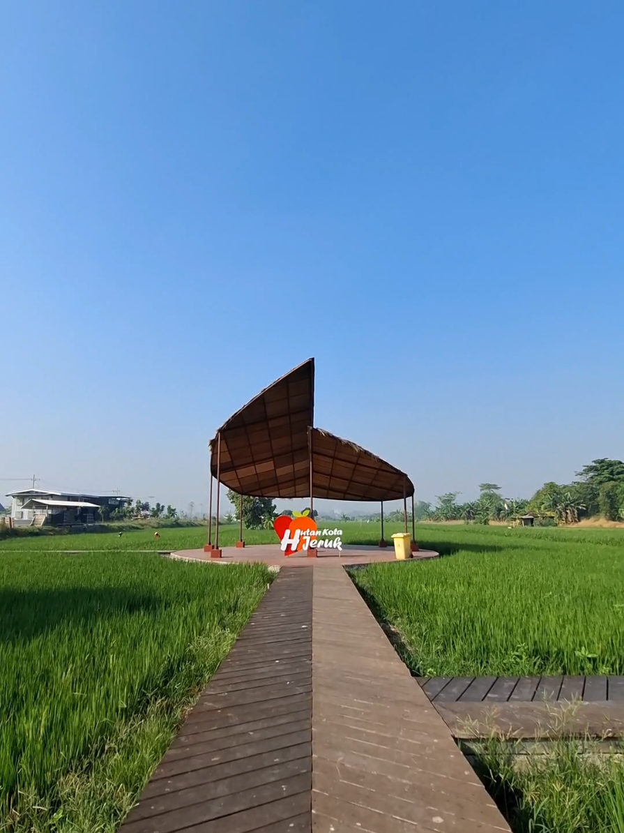 Hadiirrrr !!!! #surabaya #tamanjeruk #sawah #cucimata 