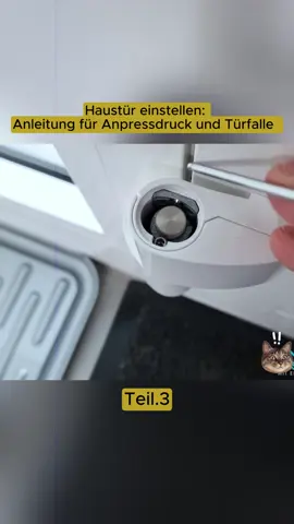 Haustür einstellen  #fyp #viral #homedecor #video #foryou 