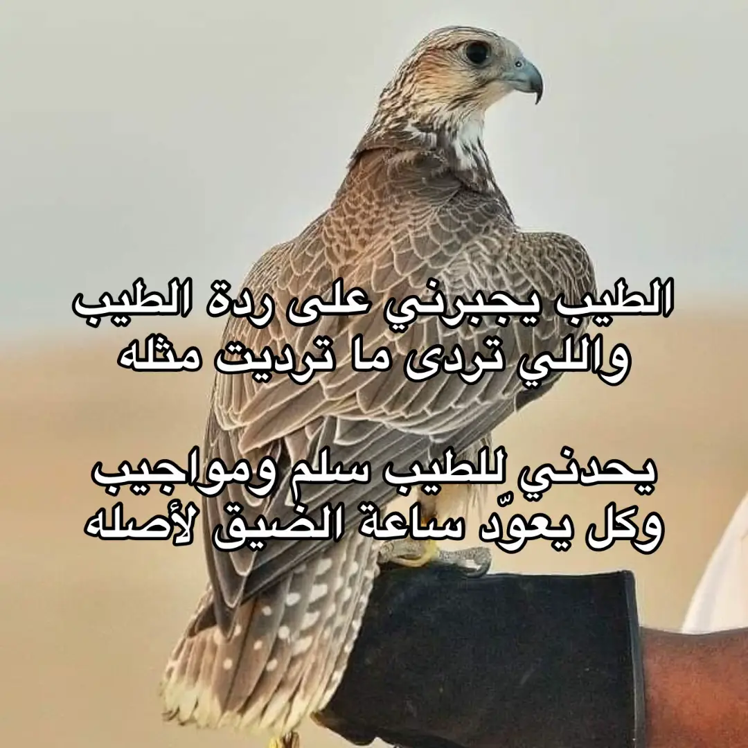 #اكسبلور #شعر #fypage #fyp 