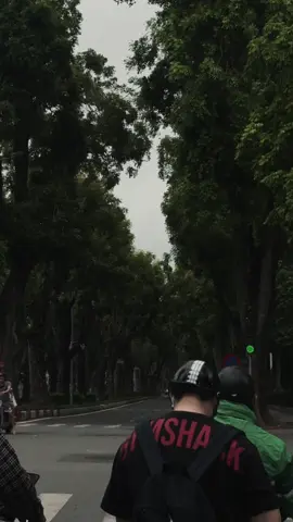 Gió heo may ghé phố xưa, Lá vàng rơi giữa chiều mưa dịu dàng. Em qua, khăn mỏng bay ngang, Tóc thơm hương cốm, mắt mang sắc trời. Hà Nội thu chậm rãi trôi, Như là em bước vào tôi thuở nào. Một lần gặp, một ngẩn ngơ, Cả mùa thu cũng thẫn thờ theo em#muathuhanoi 