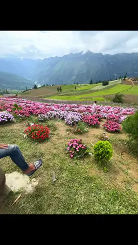 Nhắm mắt đi luôn nào😋#xinman #hagiang #xhtiktok #xhhhhhhhhhhhhhhhhhhhhhhh 