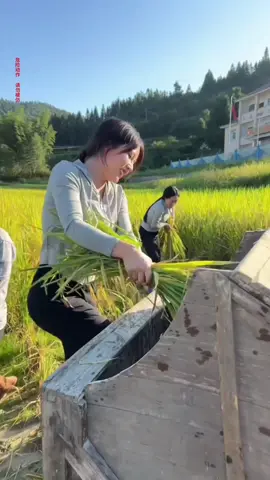 #不過人間 