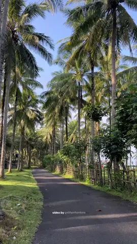 Jalannya bagus bgt 🌴 #tanjungsetiabeach🏖 #pesisirbaratlampung #tanjungsetiabeach #kruipesisirbaratlampung 
