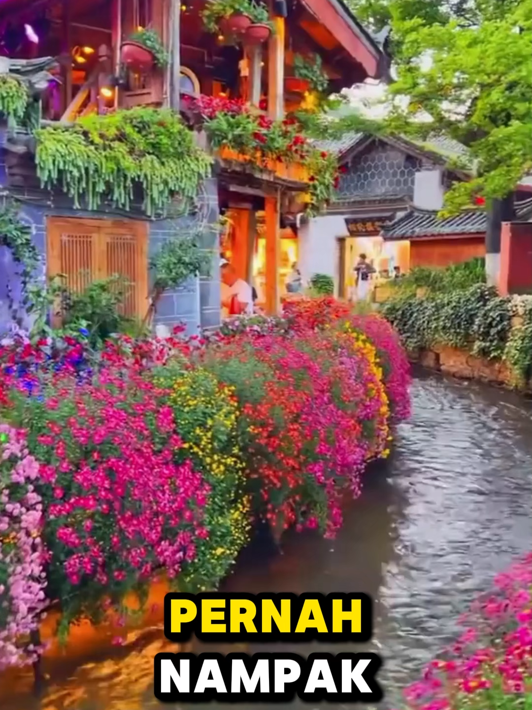 Tak perlu pening pilih, satu pek campuran bunga, setahun penuh ada bunga! #CampuranBungaSenangTanam #SepanjangTahunBerbunga #WajibUntukLazyGardener