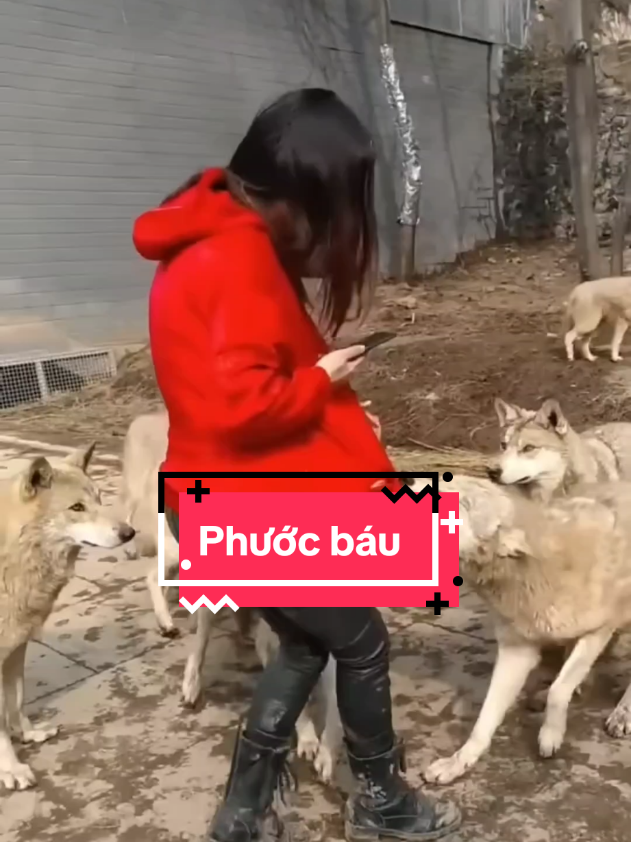 Có vợ đẹp là phúc nhưng để giữ cần phải có trí tuệ #sachhay #trietlysong #trietlycuocsong #baihoccuocsong 