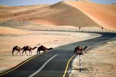 #saudiarabia 