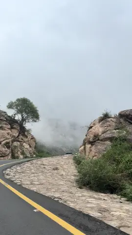 #العارضة